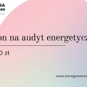 Bon na audyt - konsultacja Czyste powietrze